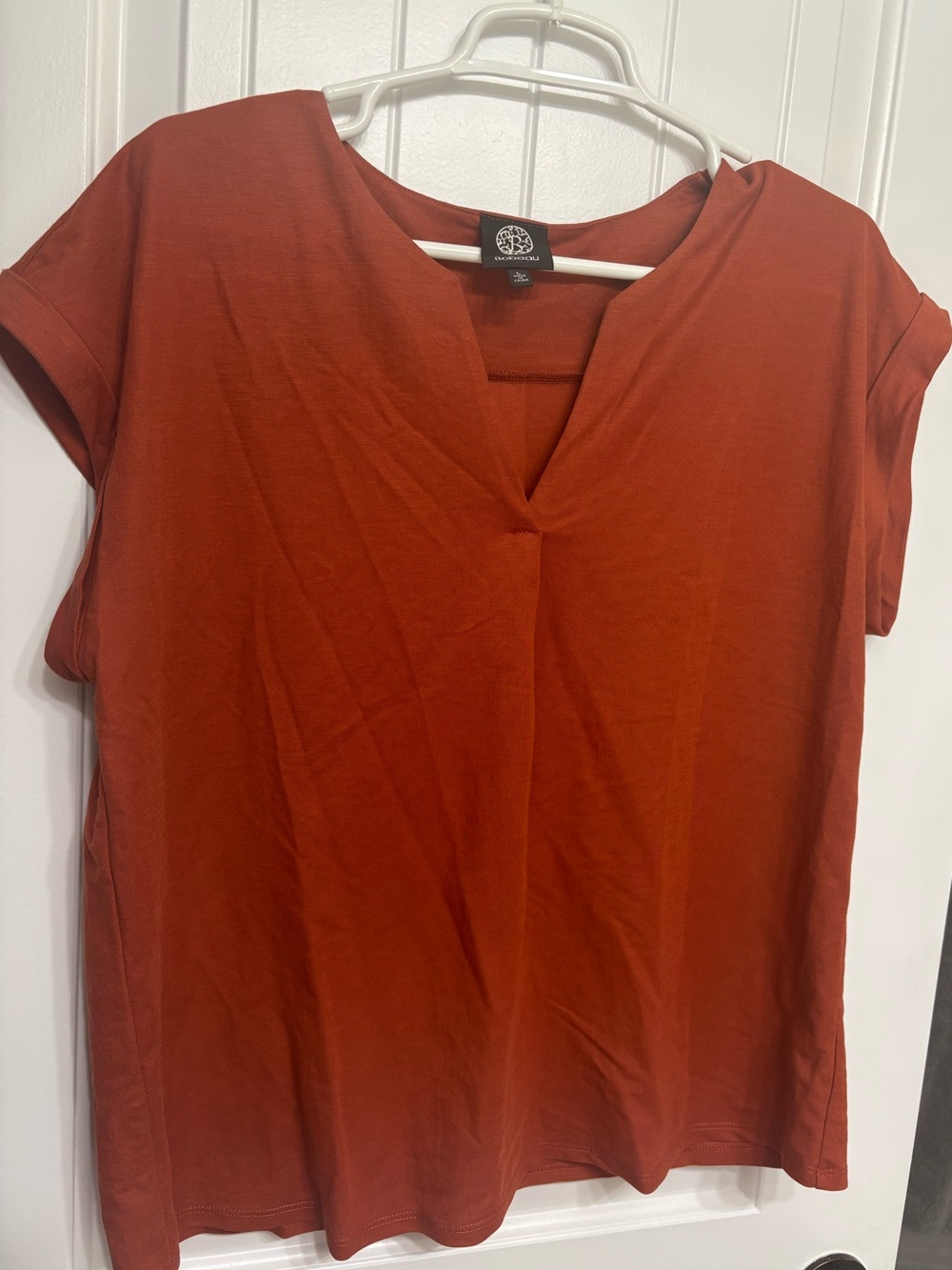 Bobeau Rust V-Neck Short Sleeve Blouse